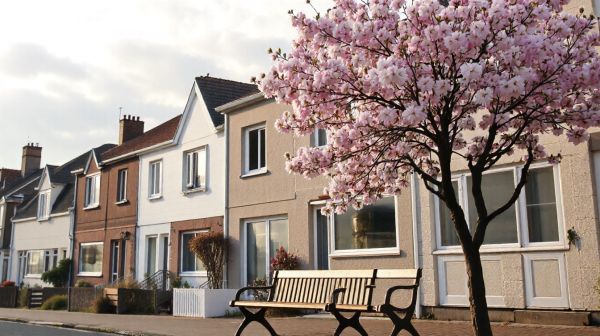 Comparer prix et options pour louer maison de vacances à Wimereux